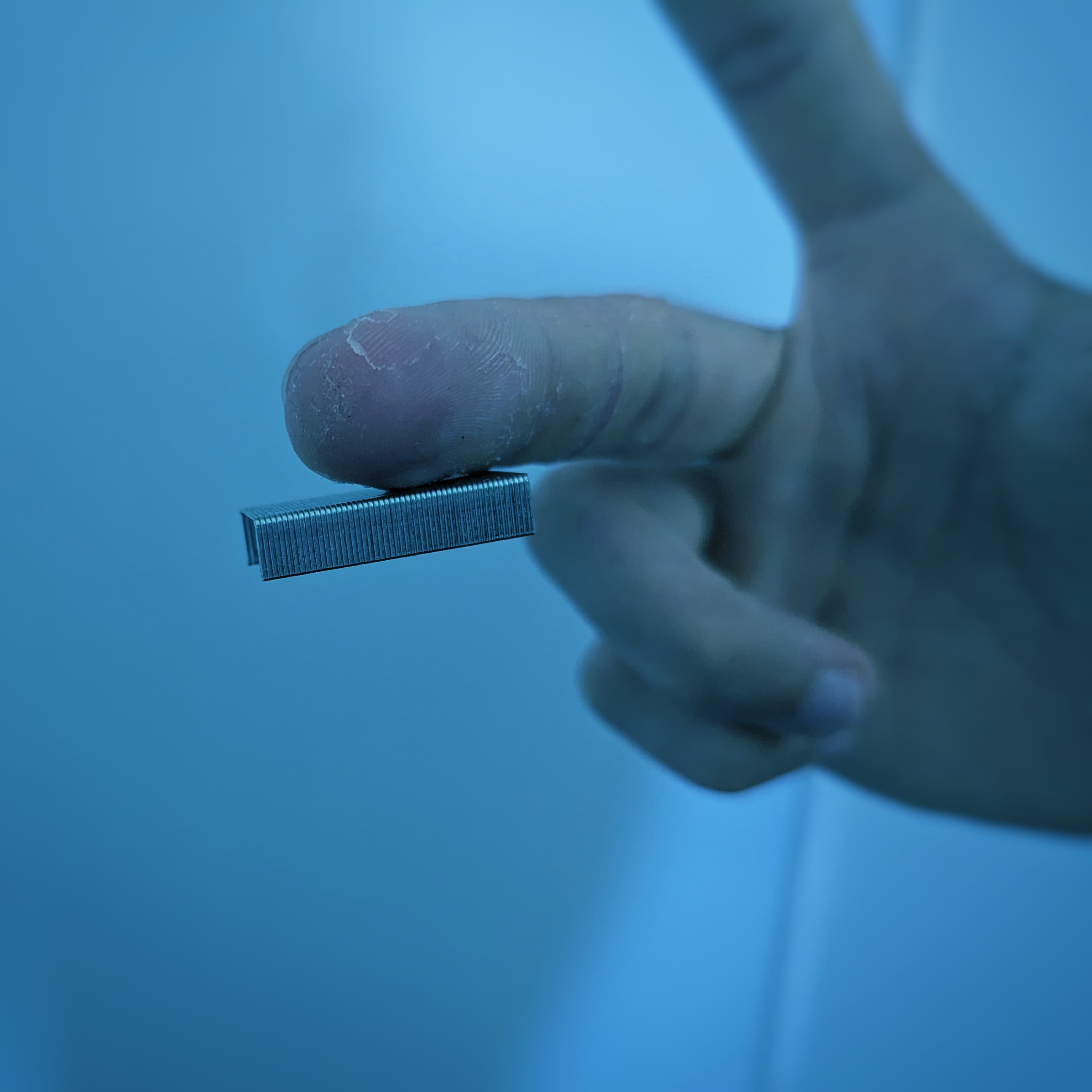 Magnet 6